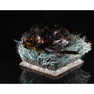 WILL DEXTER-Sea Turtle in Copper Grass WILL DEXTER - Sea Turtle in Copper Grass - Glass